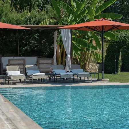 Luxury Pool Oliveto 12 - Belcantovillas *