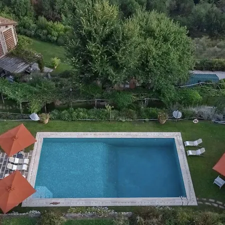 Luxury Pool Oliveto 12 - Belcantovillas