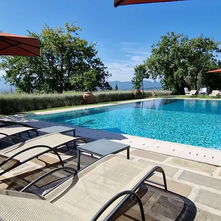 Luxury Pool Oliveto 12 - Belcantovillas * Marlia
