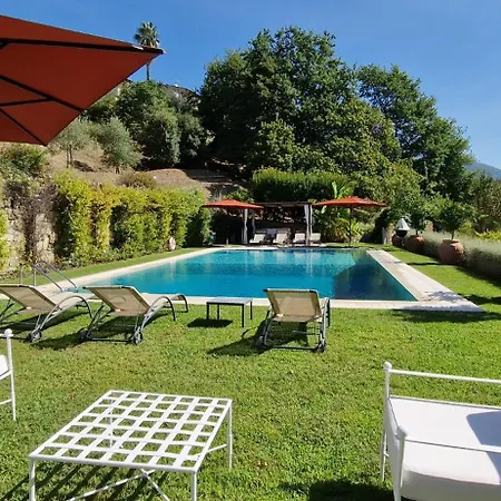 Luxury Pool Oliveto 12 - Belcantovillas Villa *